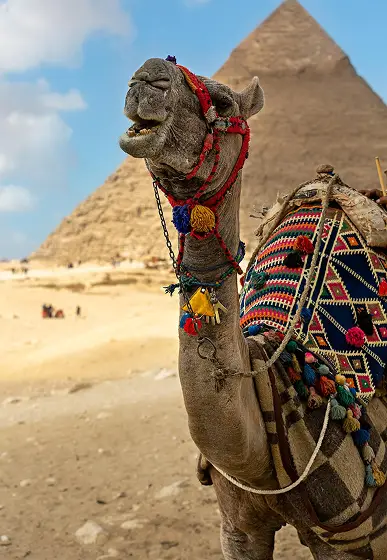 egypt, visit egypt, things to do in egypt, egypt vacation packages, ibis connect, ibis connect travel