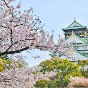 Tokyo, Japan, cheap airline tickets, flights, airfare, cheap vacation packages, all inclusive resorts
