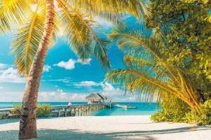 cheap vacation packages