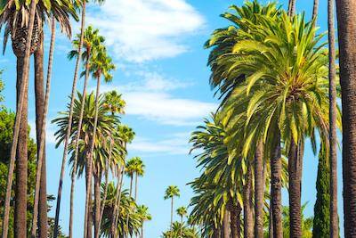 Beverly Hills